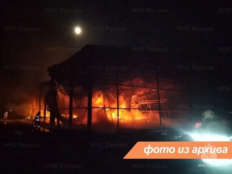 Пожарно-спасательные подразделения Ленинградской области ликвидировали пожар в Волосовском районе
