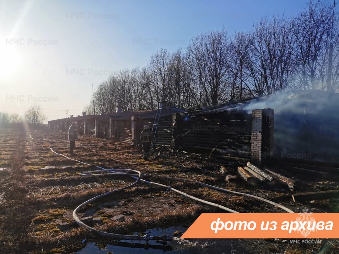 Пожарно-спасательное подразделение Ленинградской области ликвидировало пожар в г. Волосово
