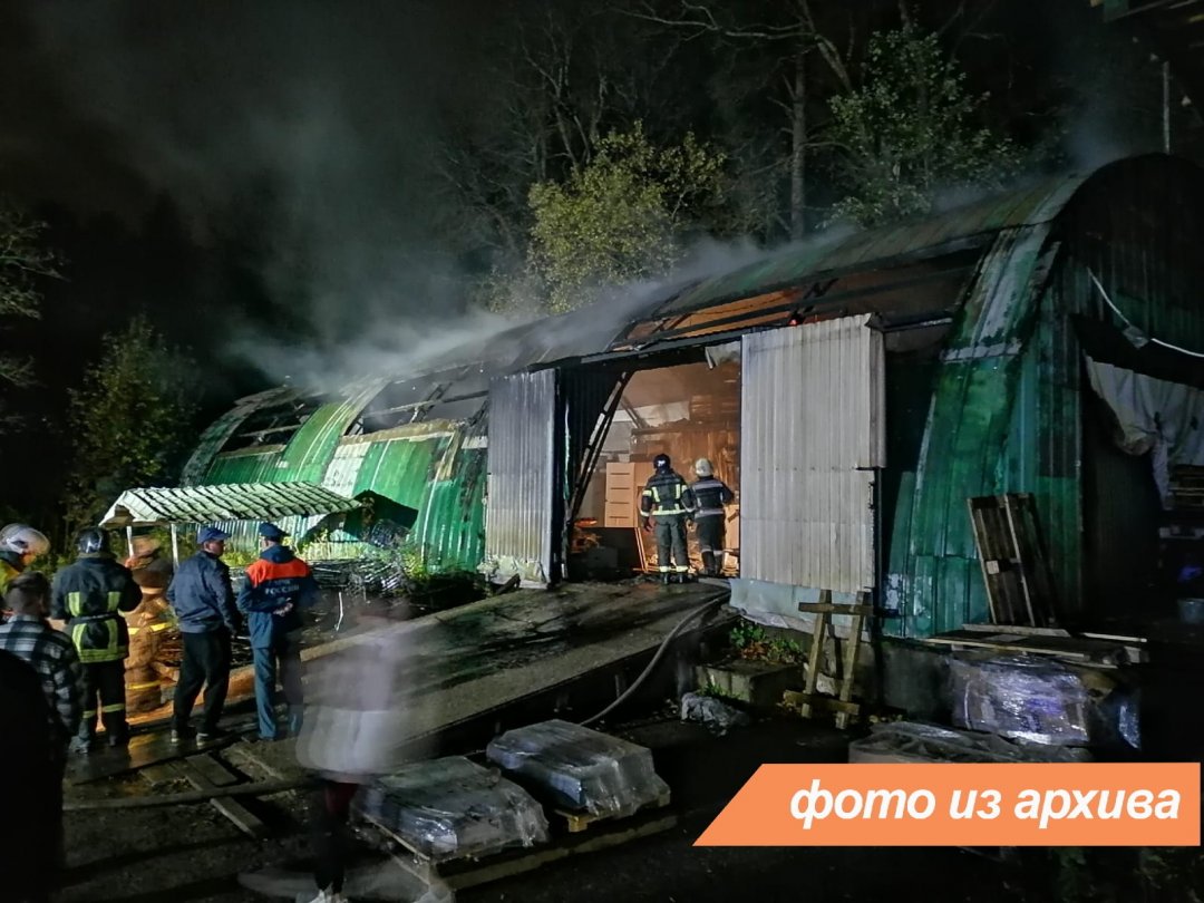 Пожарно-спасательные подразделения Ленинградской области ликвидировали пожар в Волосовском районе